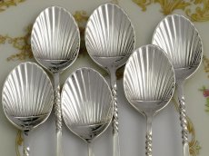画像3: 純銀製 1904年 シェル型 ティースプーンセット (3)