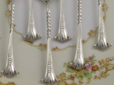 画像4: 純銀製 1904年 シェル型 ティースプーンセット (4)