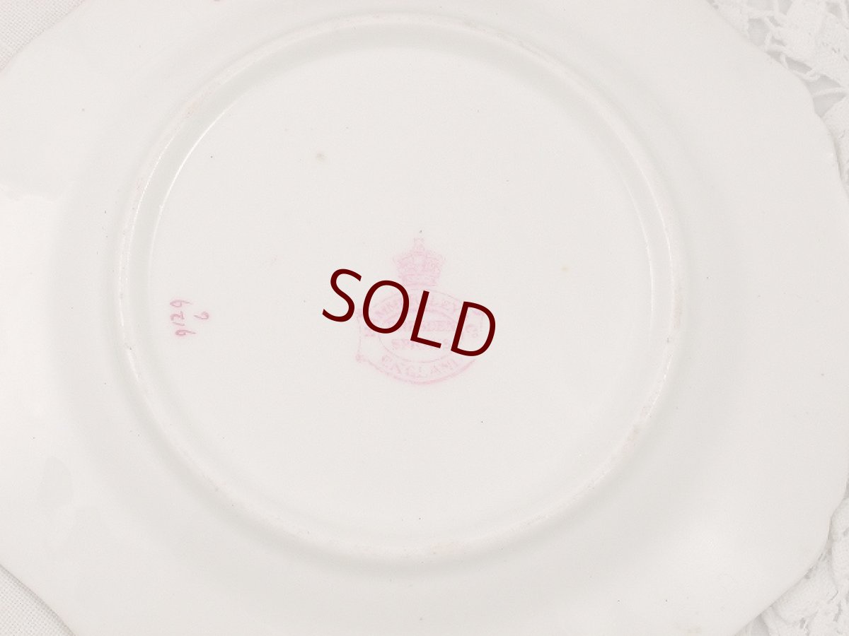 画像5: ハマースレイ  ドレスデンスプレイズ プレート　2枚セット　その２ (5)