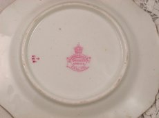 画像5: ハマースレイ  ドレスデンスプレイズ プレート　2枚セット　その２ (5)