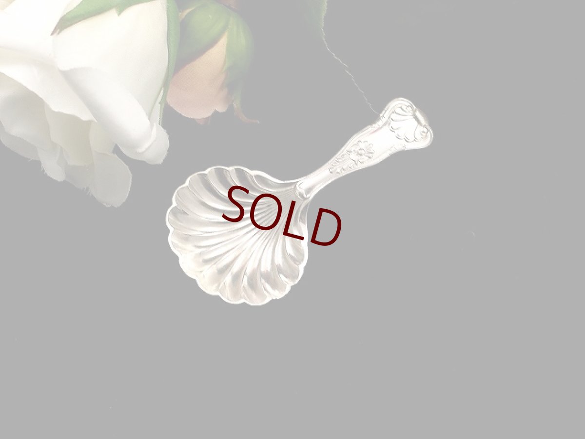 画像1: ヴィクトリアン/エドウォーディアン　貝のティーキャディースプーン (1)