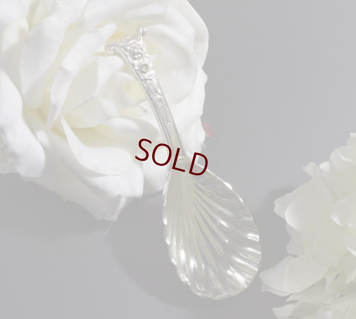 画像1: 純銀製（925）1844年　手彫り　Chawner & Co. ティーキャディースプーン (1)