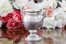 画像13: 純銀製（925）1873年　ネオクラシックスタイル　バチェラーサイズ　ティーセット (13)