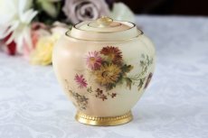 画像1: 1888年　ロイヤルウースター　アイボリーブラッシュ　ティーキャディー (1)