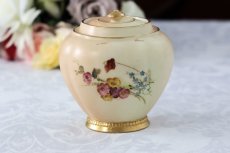 画像10: 1888年　ロイヤルウースター　アイボリーブラッシュ　ティーキャディー (10)