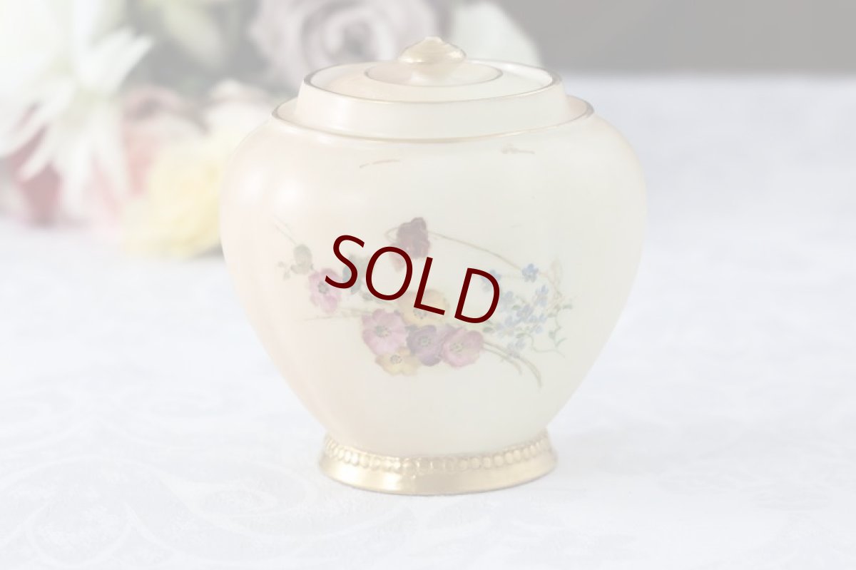 画像4: 1888年　ロイヤルウースター　アイボリーブラッシュ　ティーキャディー (4)