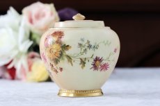 画像2: 1888年　ロイヤルウースター　アイボリーブラッシュ　ティーキャディー (2)