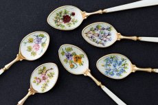 画像1: アンティークシルバー アンティーク銀器 純銀製(925)  ビンテージシルバー 1972年 お花模様のエナメル  金鍍金 コーヒースプーン6本セット (1)