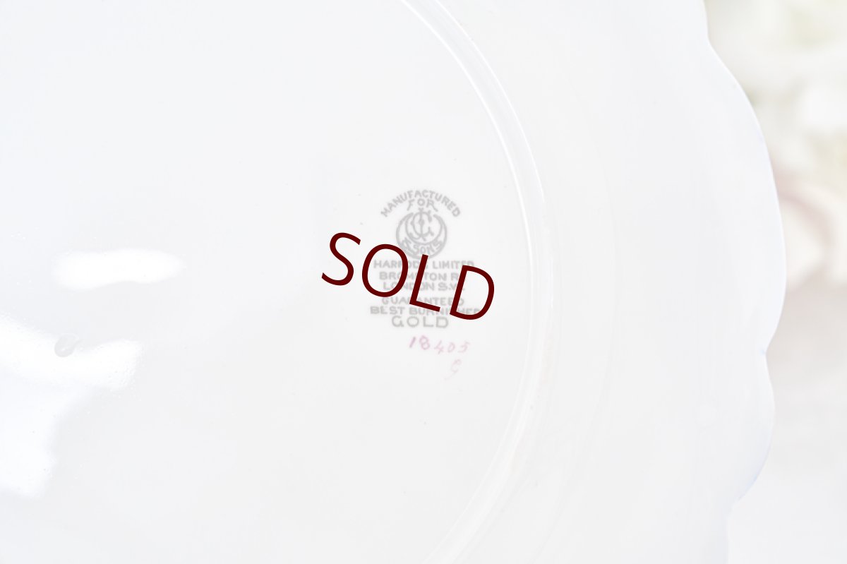 画像15: アンティーク陶磁器　c.1900　ジョージ・ジョーンズ デザートプレート6枚＆デザートボウル2個セット (15)