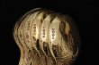 画像9: アンティークシルバー 純銀製(925)  1872年 Chawner & Co. 総金鍍金 アイスクリームスプーン6本セット